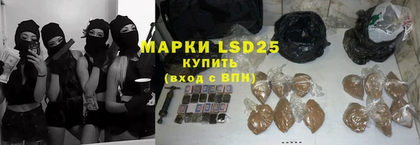 ECSTASY Кукмор