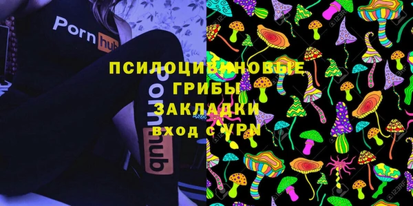 хмурый Белоозёрский