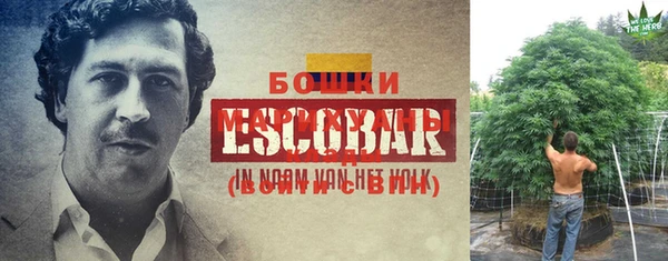 ECSTASY Кукмор