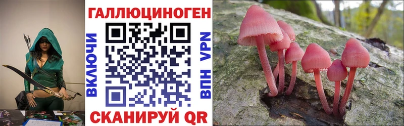 продажа наркотиков Билибино Галлюциногенные грибы GOLDEN TEACHER